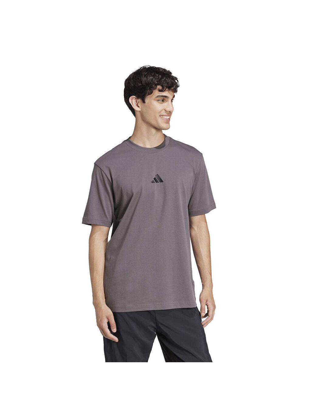 Small Logo Sj Erkek Gri Yuvarlak Yaka Spor Tişört-4