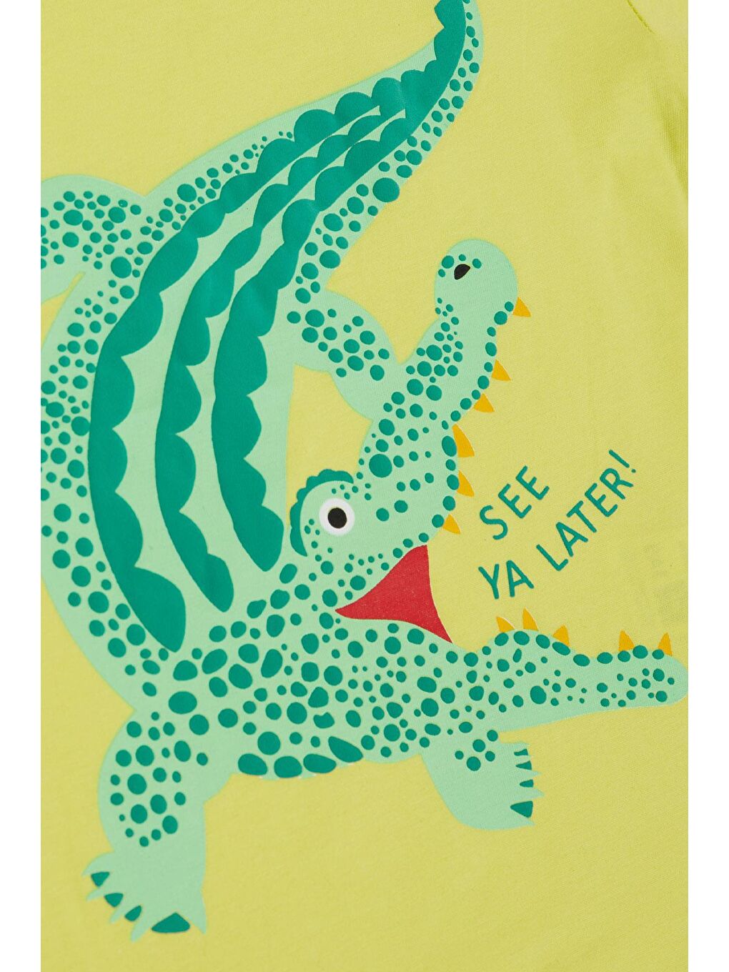 Erkek Çocuk Tişört Sevimli Timsahcık Baskılı Sarı (3-8 Yaş)-3