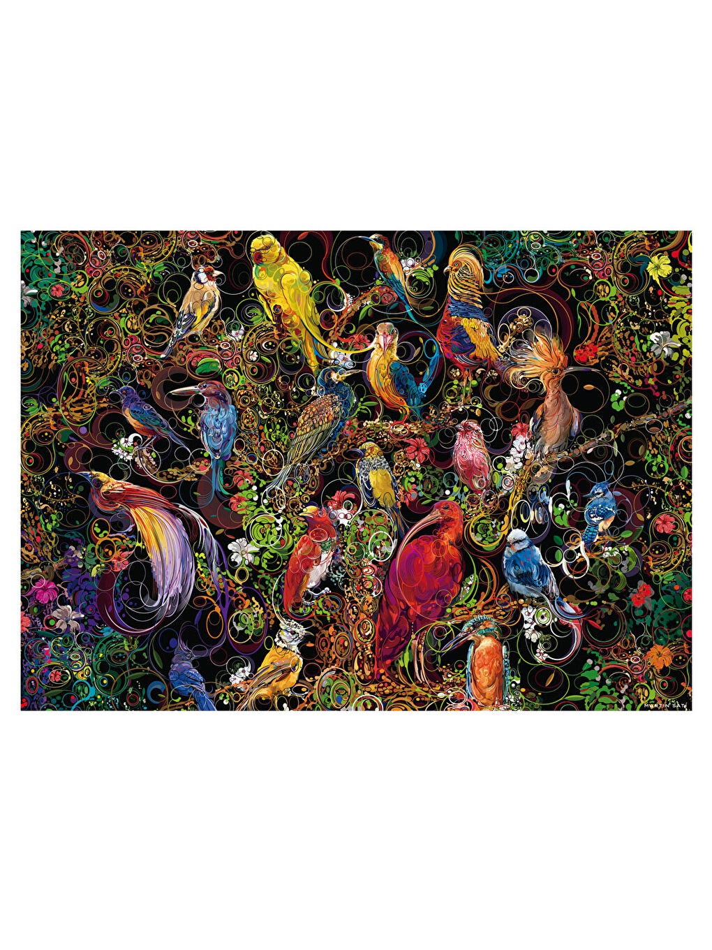 Ravensburger 1000 Parça Puzzle Kuşlar RPB168323