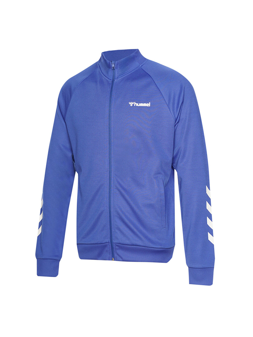 Falconzo Erkek Mavi Dik Yaka Ceket