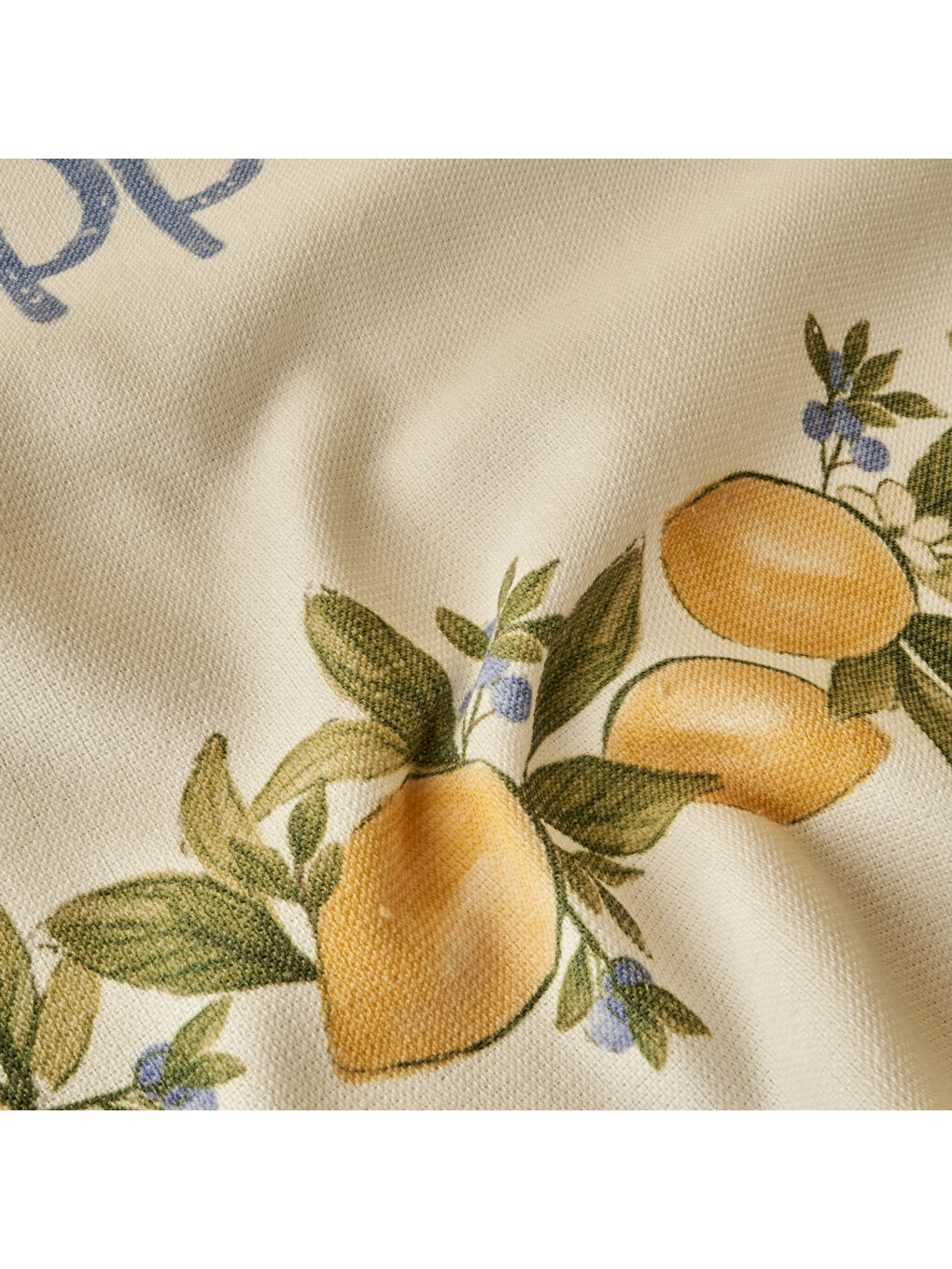 Limonlu Pamuklu 2 'li Kurulama Bezi Sarı (40x50 cm)-1