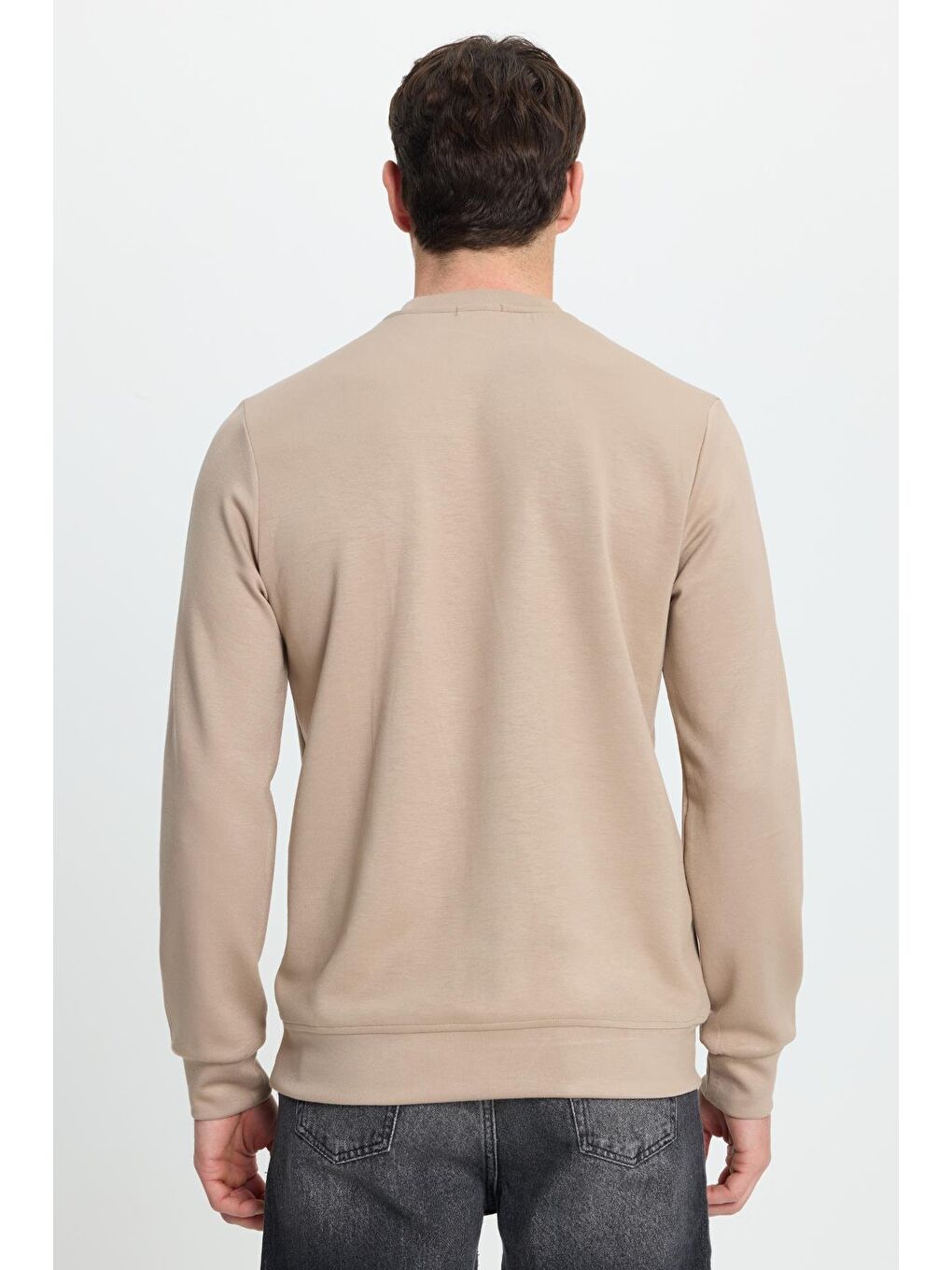 Bej Erkek Standart Fit Normal Kesim Uzun Kollu Ekstra Soft Modal Kumaş Bisiklet Yaka Vizon Sweatshirt-6