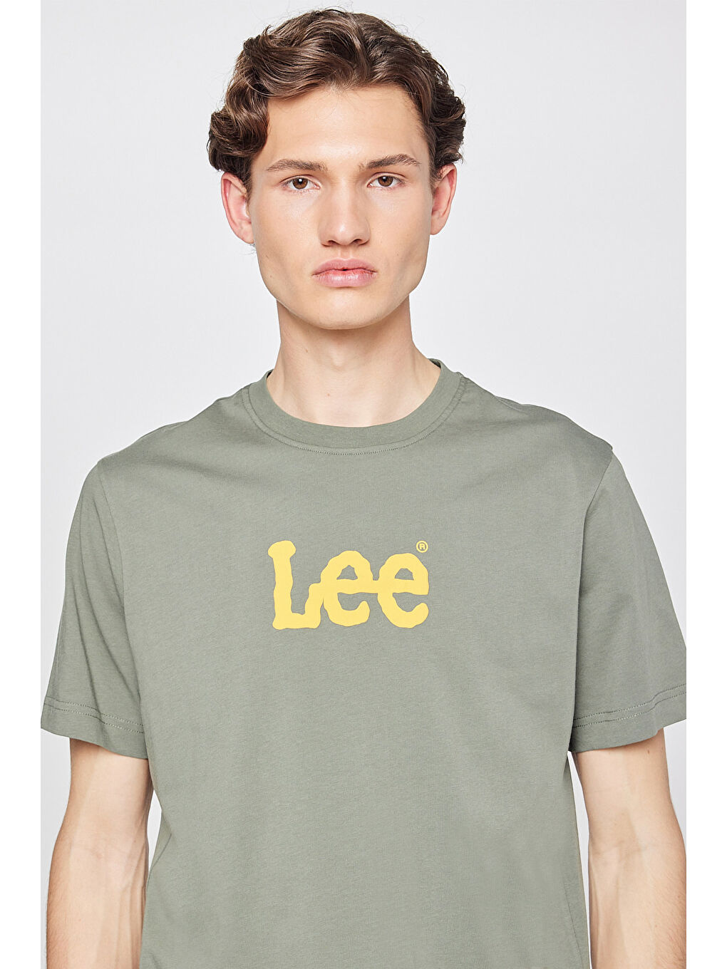 Haki %100 Pamuk Regular Fit Normal Kesim Logo Detaylı Tişört-3