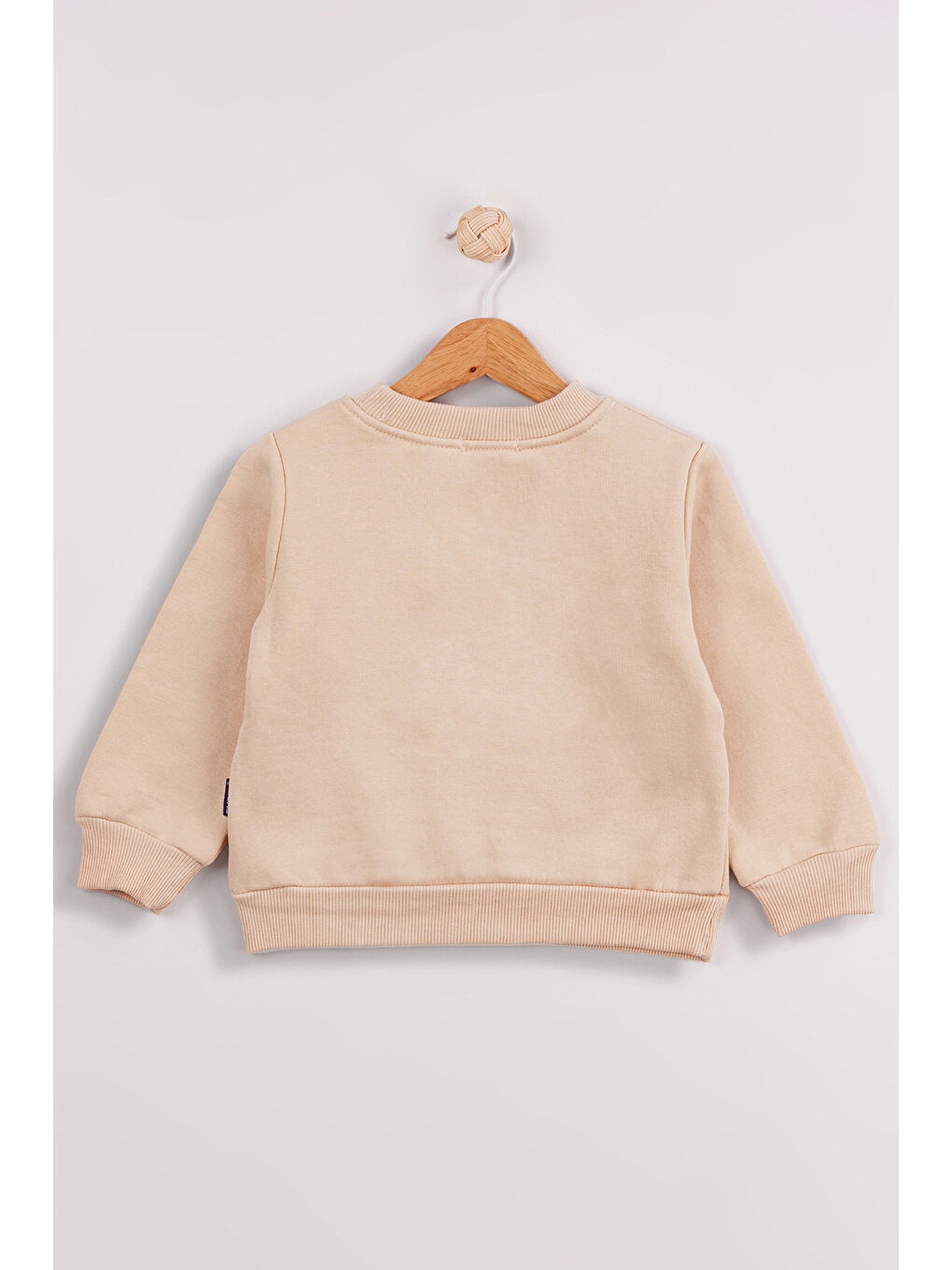 Yeşil Erkek Çocuk 2'li Paket Kalın Sevimli Ayı Baskılı Sweatshirt-3