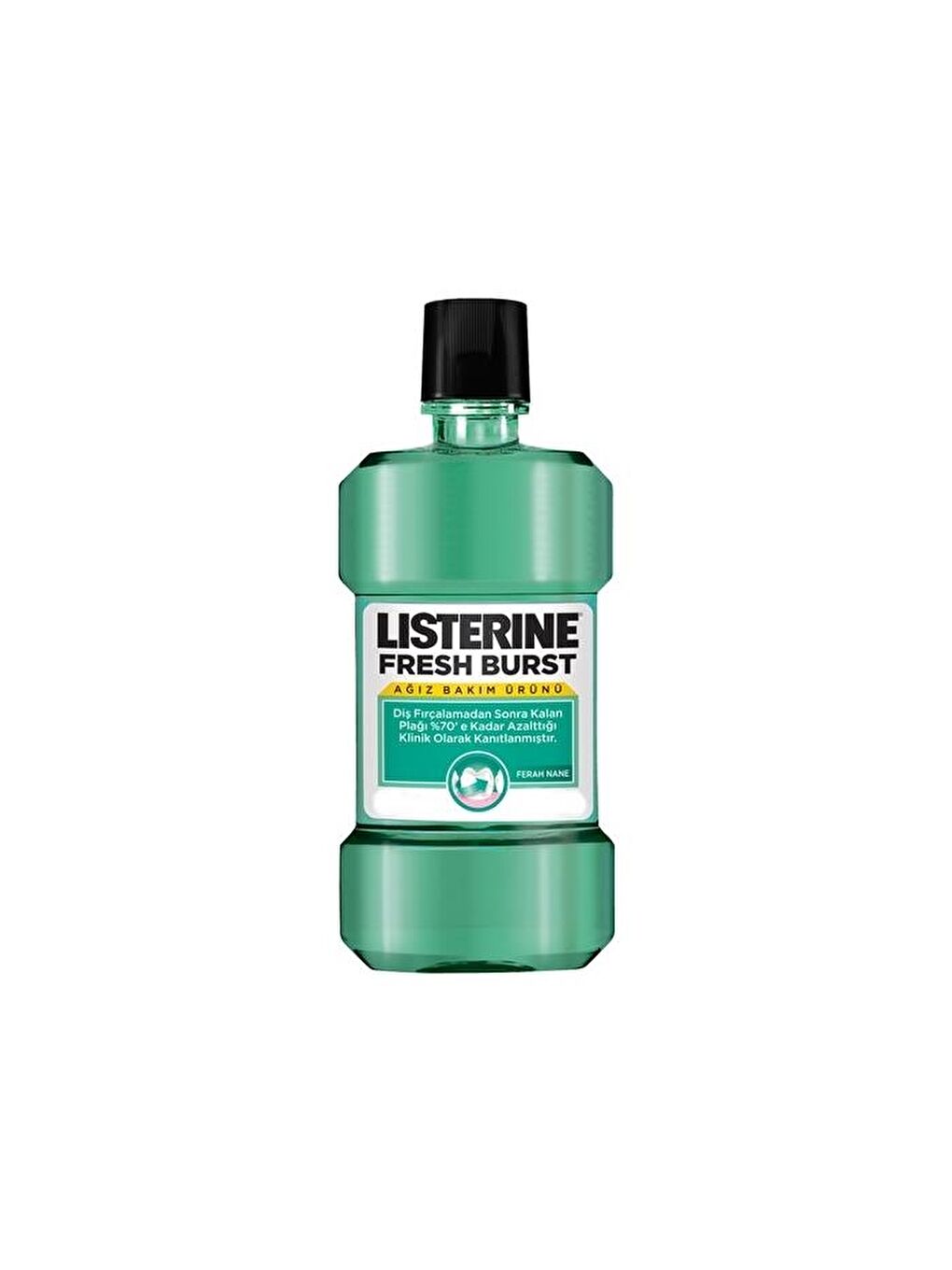 Listerine Fresh Burst Plak Karşıtı Ferah Nane 500ml