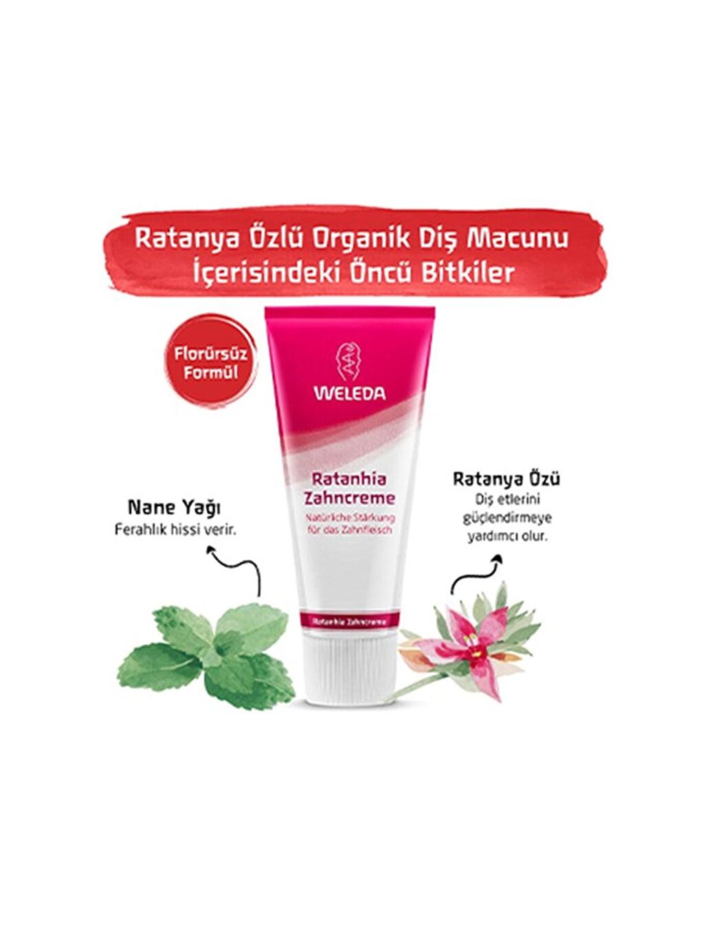 Weleda Ratanya Özlü Organik Diş Macunu 75 ML - 1