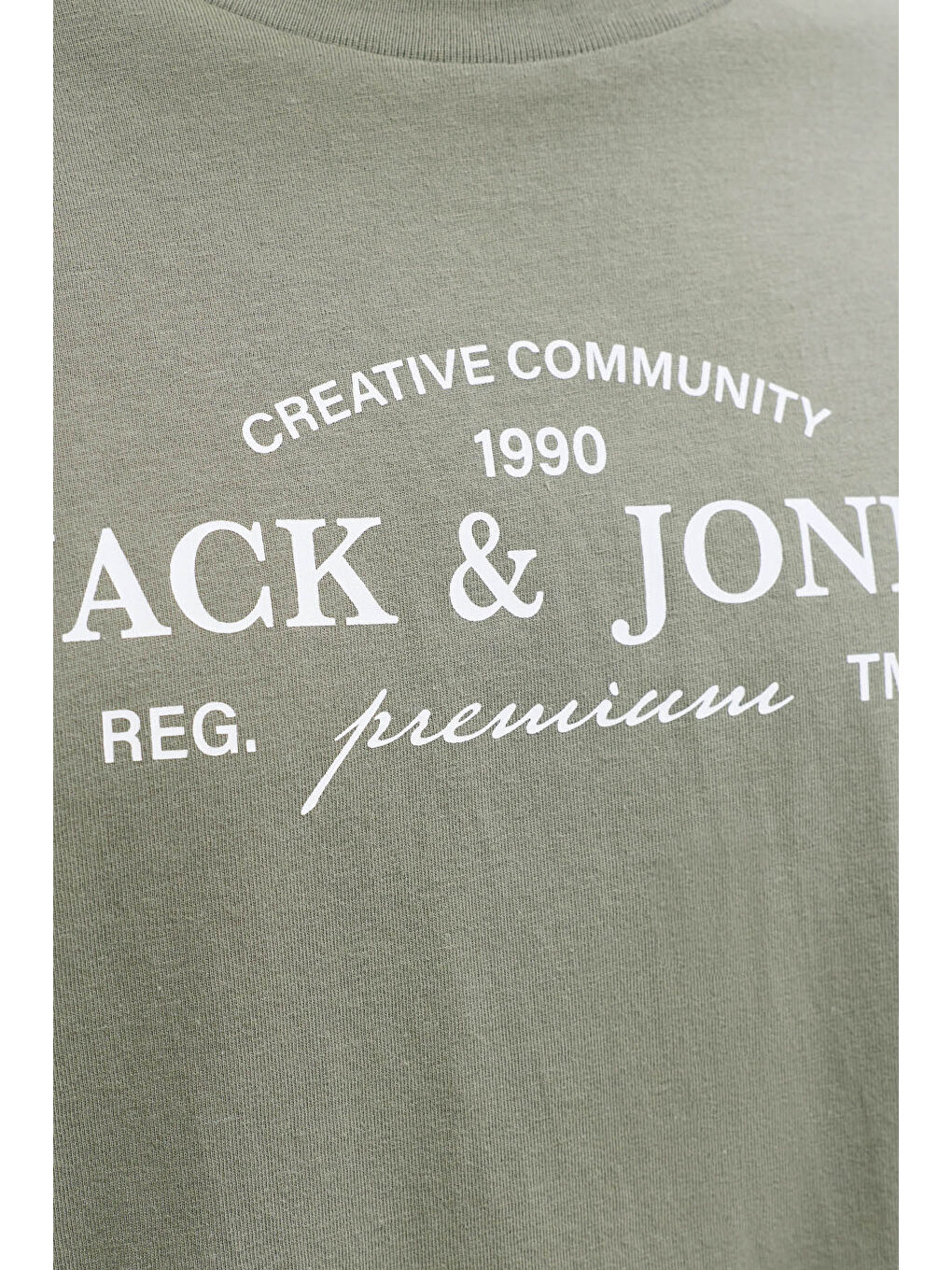 Yeşil Plus Jprblakevin Pamuklu Standart Fit Logolu T Shirt 12298340-3