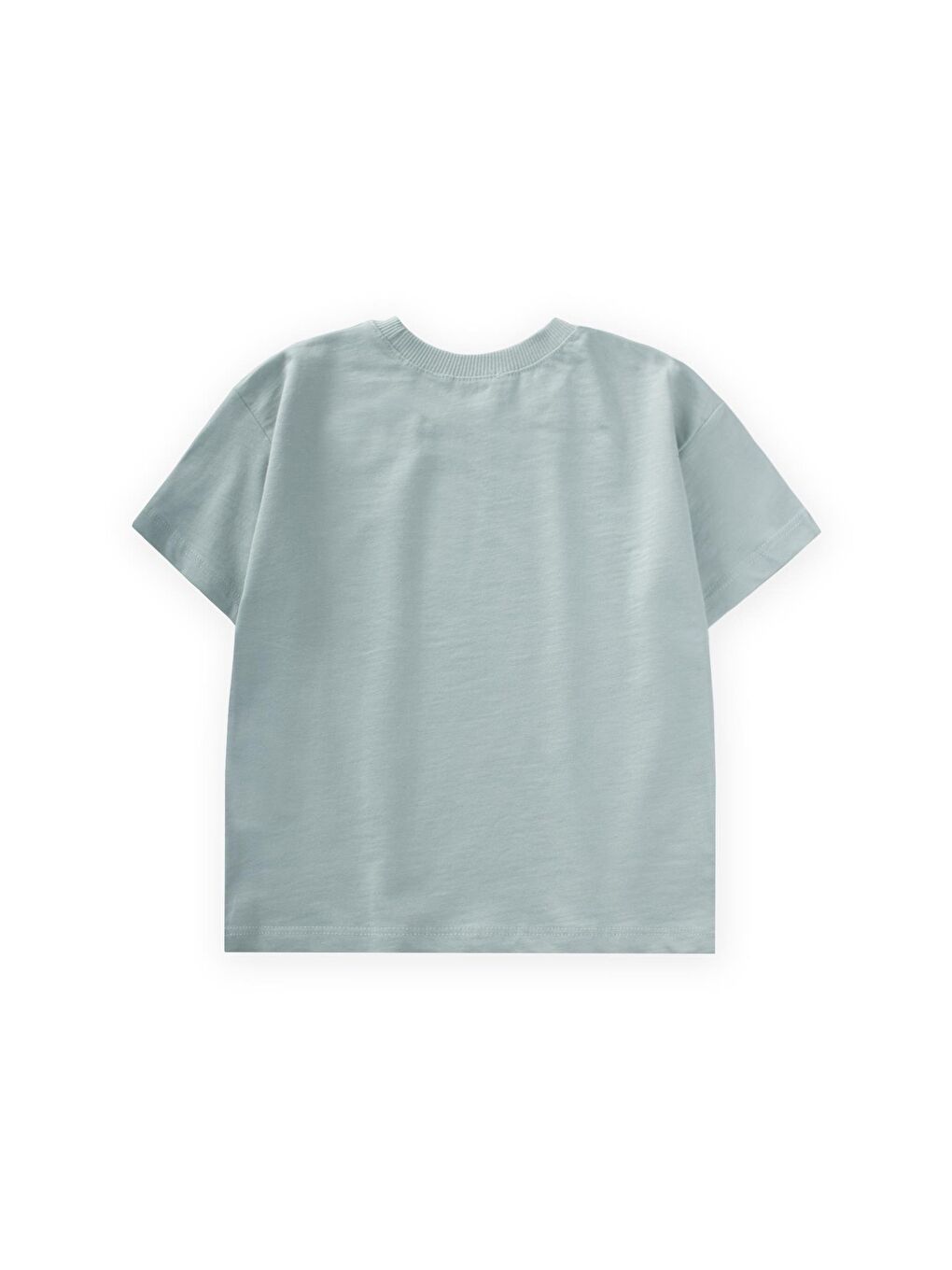 Yeşil Erkek Çocuk Baskılı Tişört-1