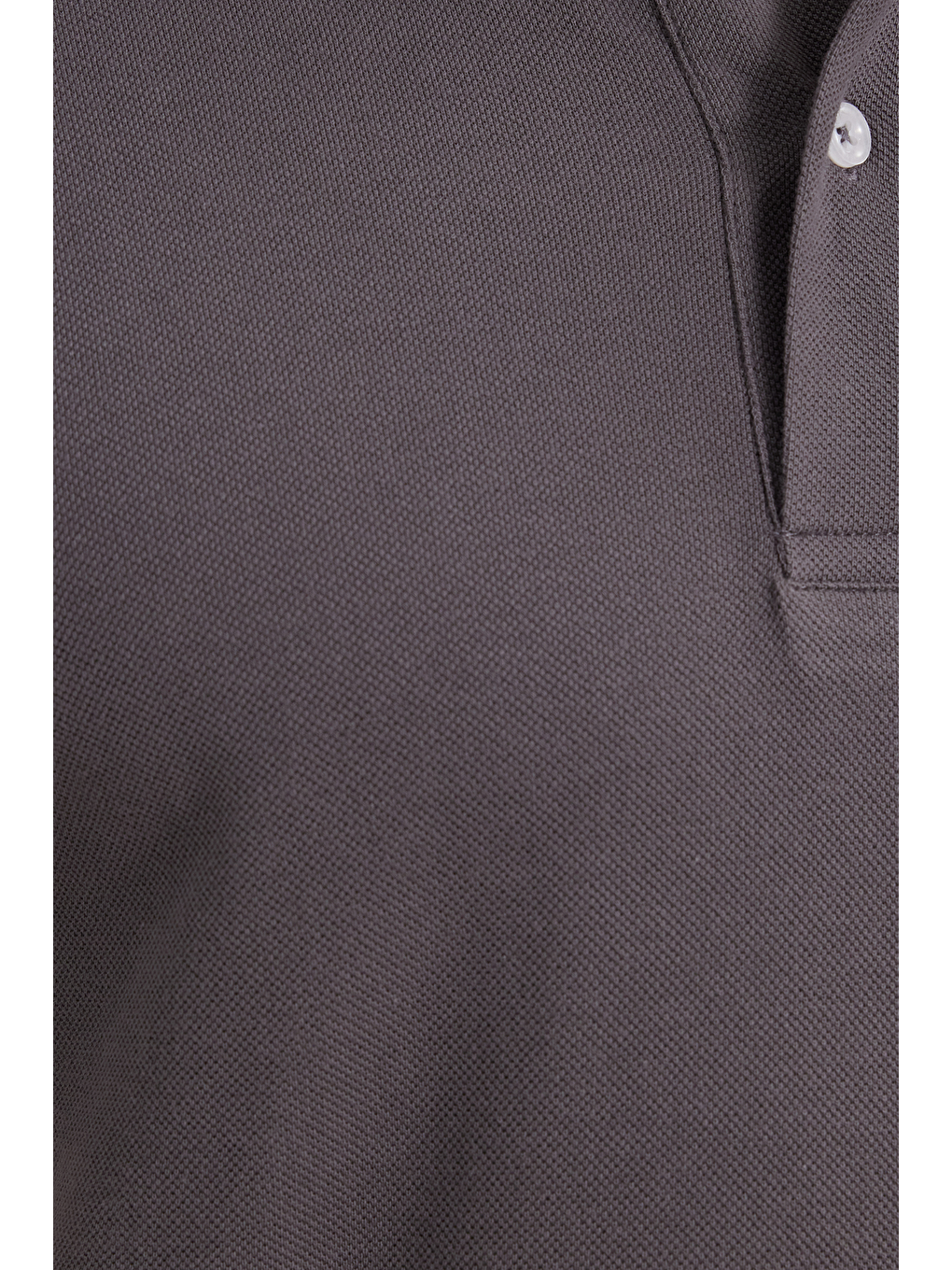 Erkek Slim Fit Dar Kesim %100 Pamuk Gri Polo Yaka Tişört-4