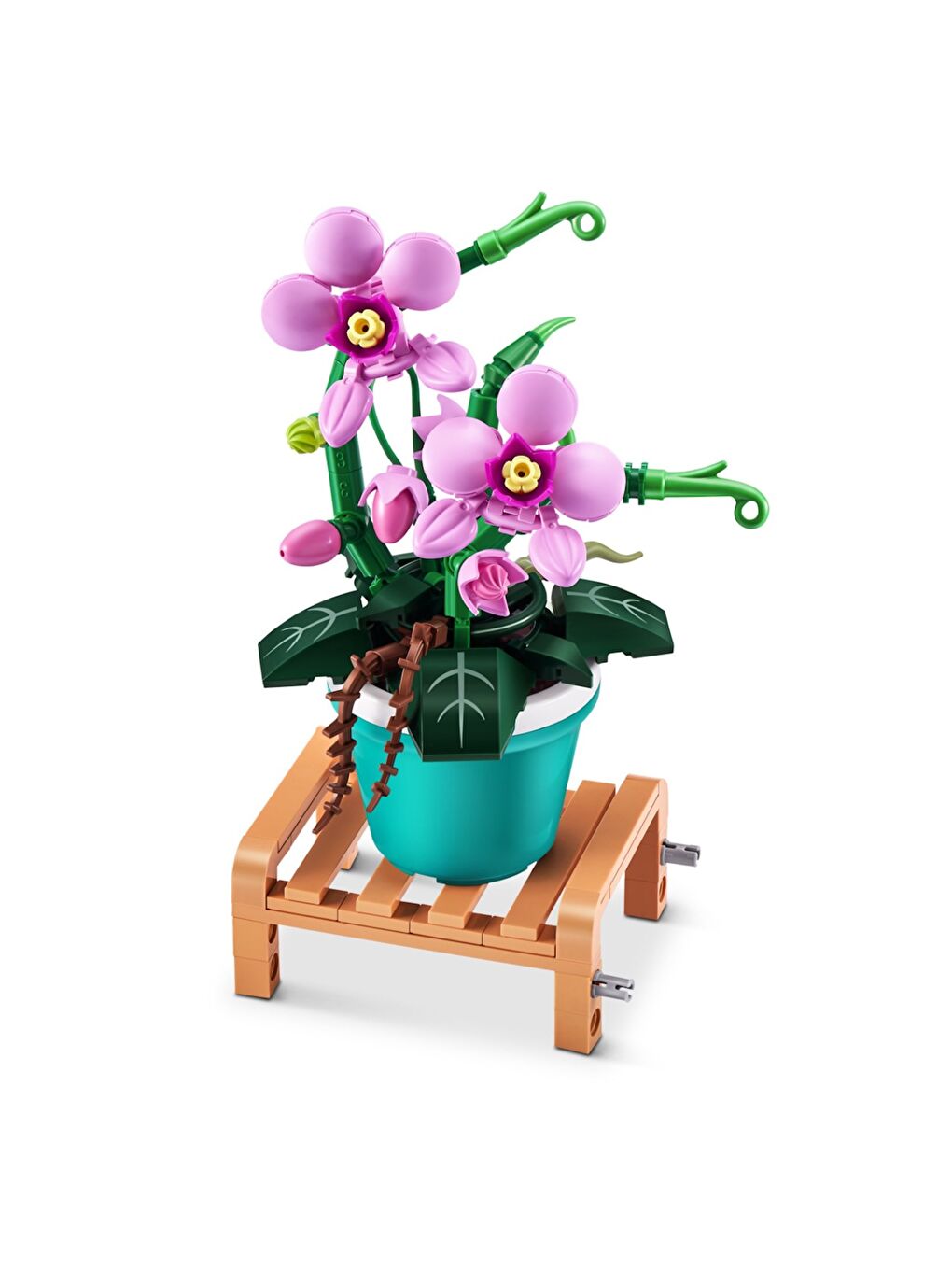 Saksı Bitkileri Sürprizi-6