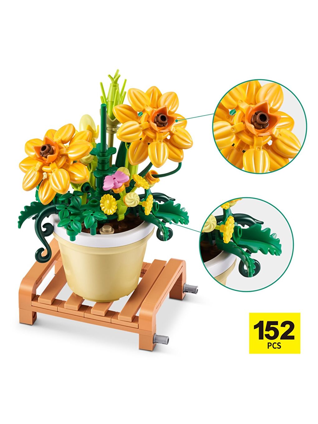 Saksı Bitkileri Sürprizi-8