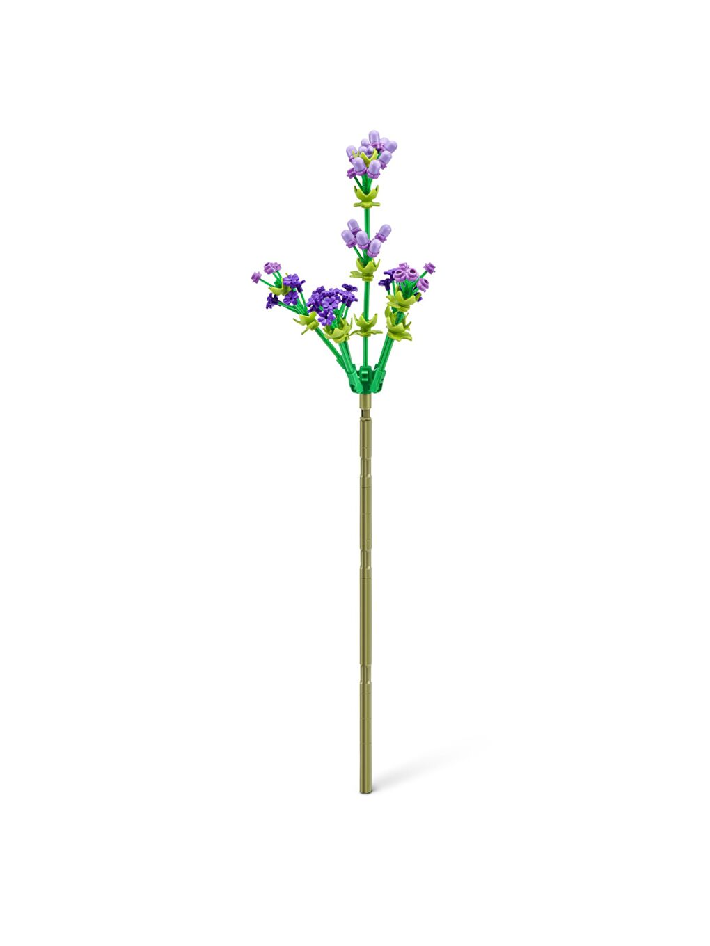 Uzun Çiçekler Sürprizi-6