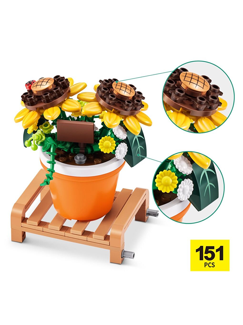 Saksı Bitkileri Sürprizi-9