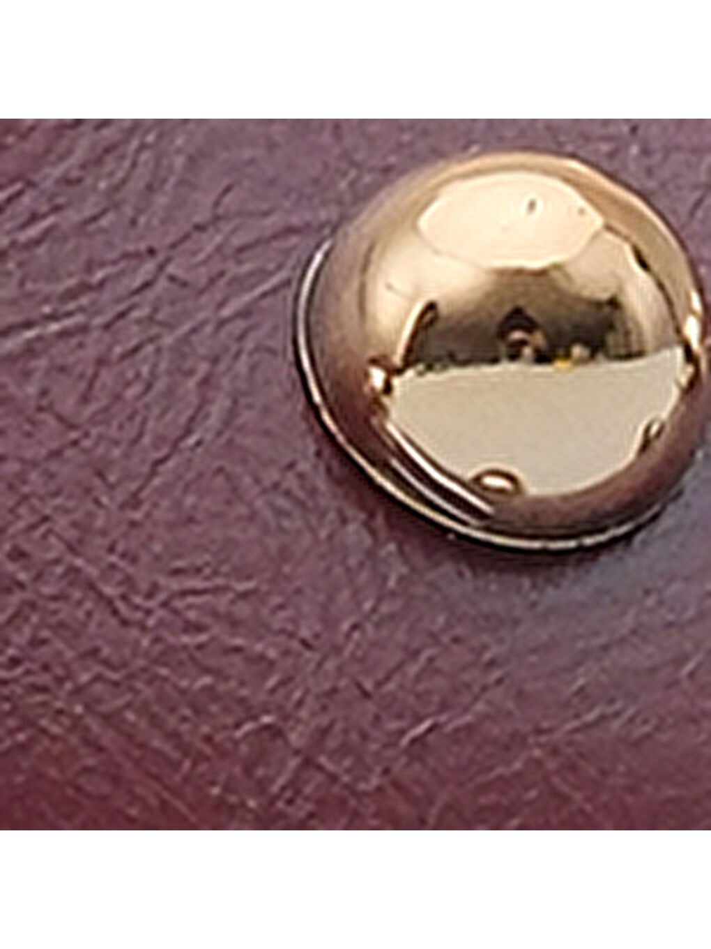 Bordo Meredith Sivri Burunlu Metal Aksesuarlı Burnu Kapalı Kadın Terlik-6