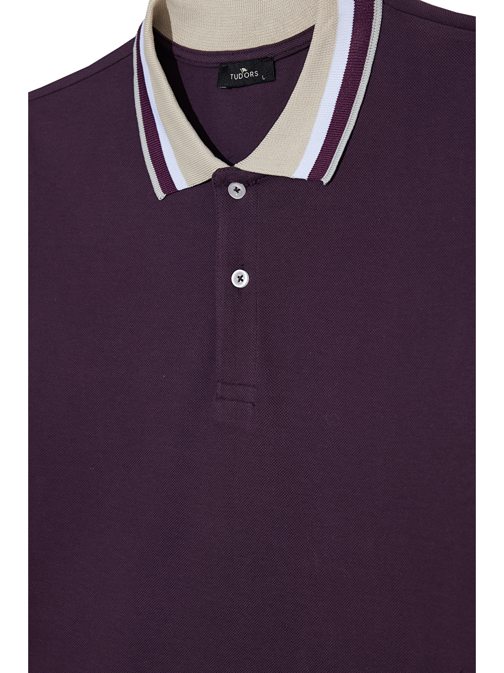 Siyah Erkek Slim Fit Dar Kesim %100 Pamuk Eflatun Polo Yaka Tişört-1