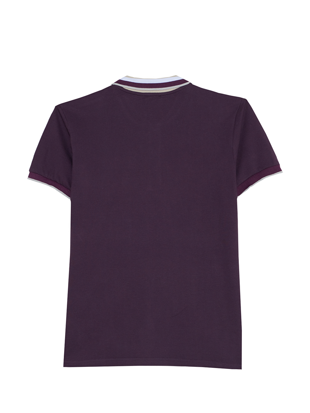 Siyah Erkek Slim Fit Dar Kesim %100 Pamuk Eflatun Polo Yaka Tişört-2