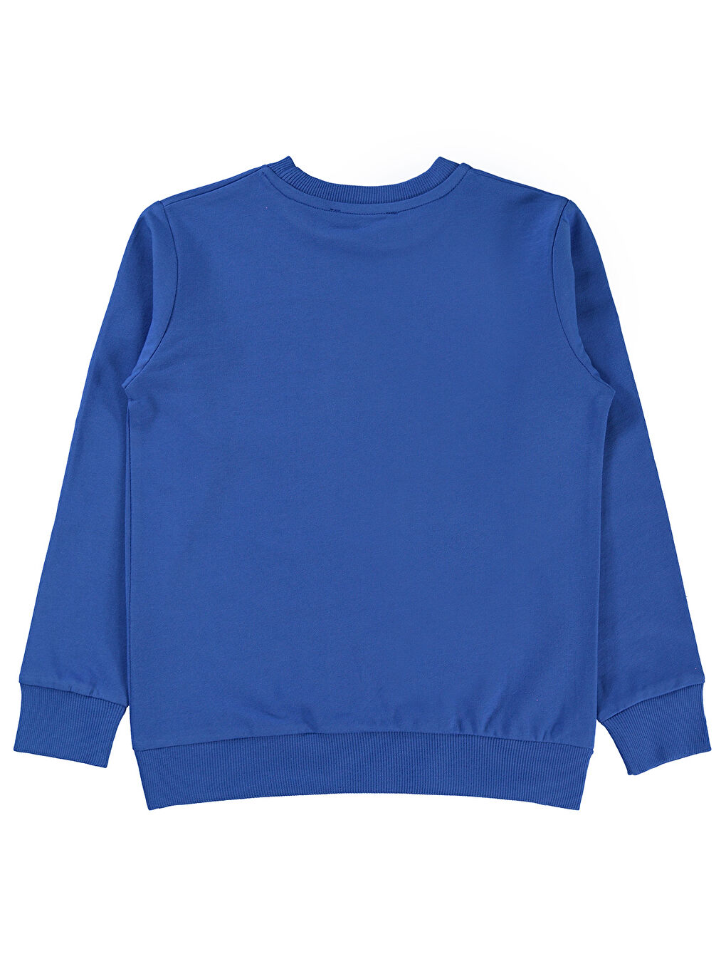 Mavi Erkek Çocuk Sweatshirt 6-9 Yaş Saks-1