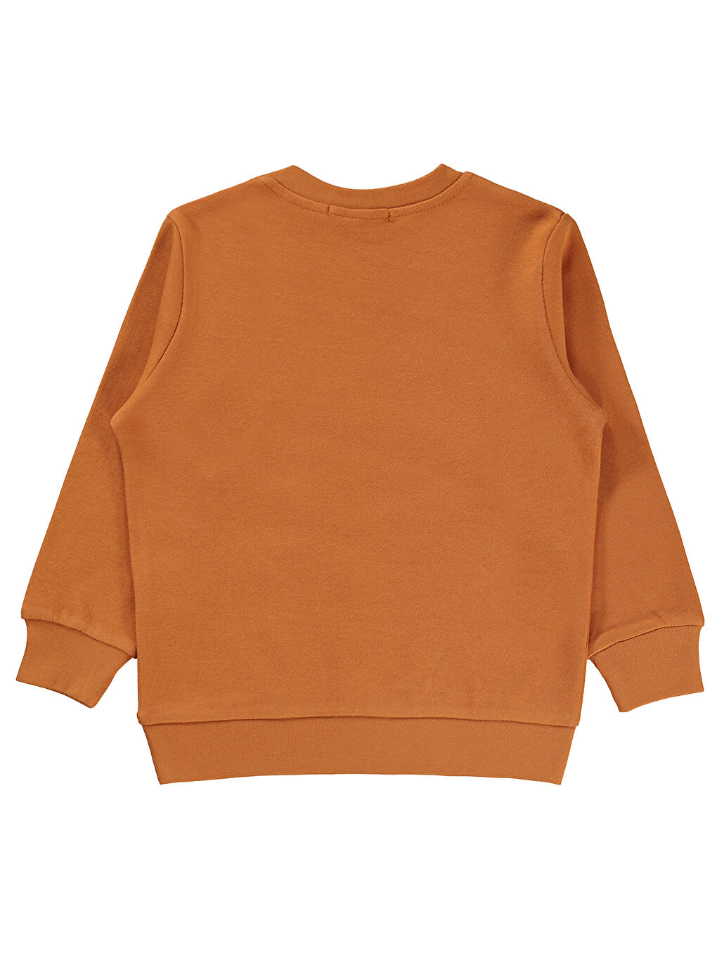 Civil Turuncu Erkek Çocuk Sweatshirt 2-5 Yaş Oranj - 1