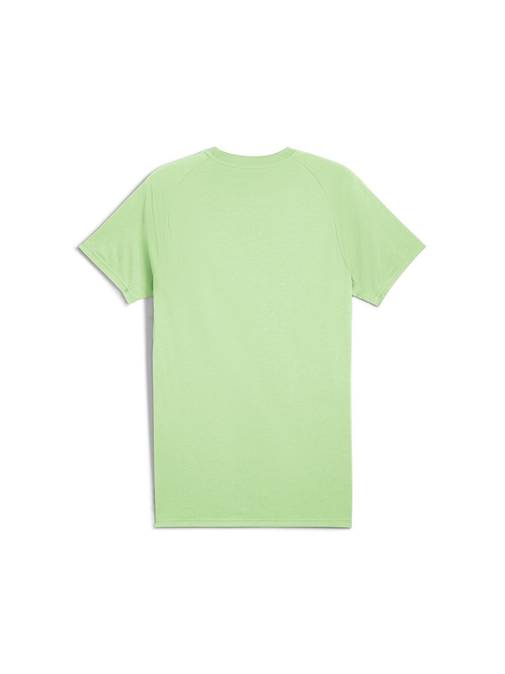 Evostripe Erkek Yeşil Yuvarlak Yaka Tişört-4