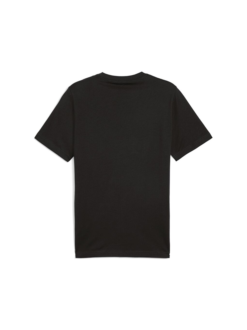 Graphics Mountain Erkek Siyah Yuvarlak Yaka Tişört-4