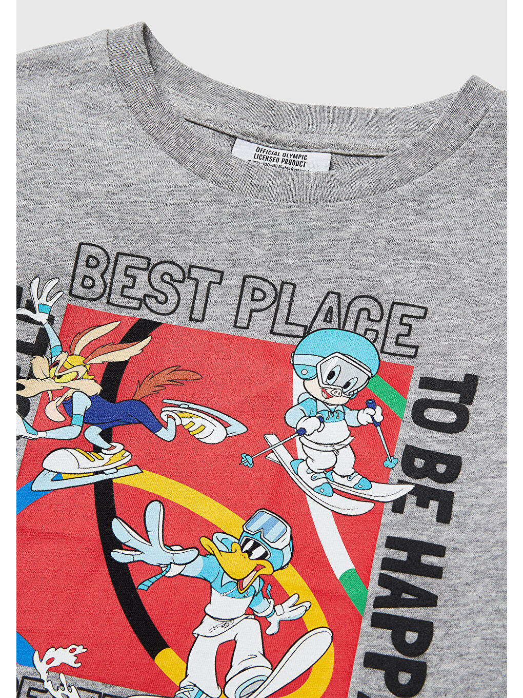 Erkek Çocuk Gri melanj Önü ve Arkası Baskı Detaylı Bisiklet Yaka Uzun Kollu T-Shirt-2