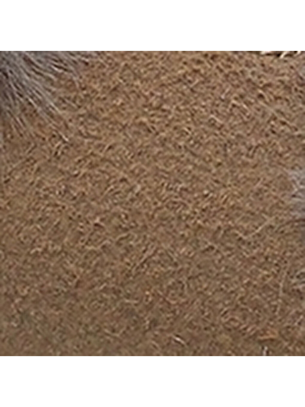 Siyah Marietta Kadın Terlik-6