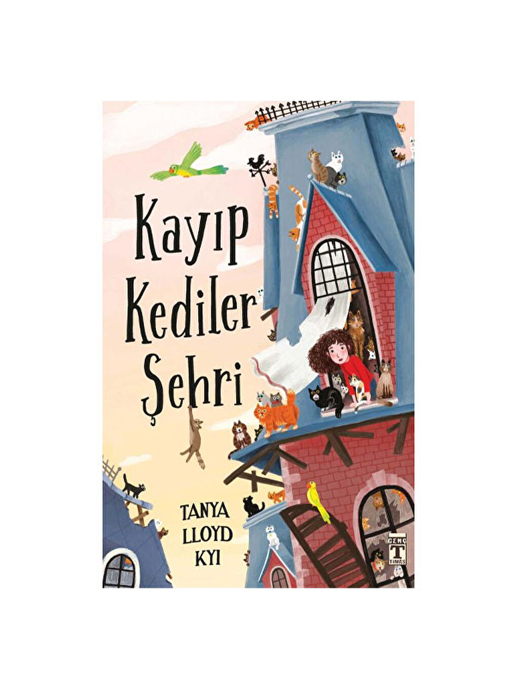 Kayıp Kediler Şehri Tanya Lloyd Kyi