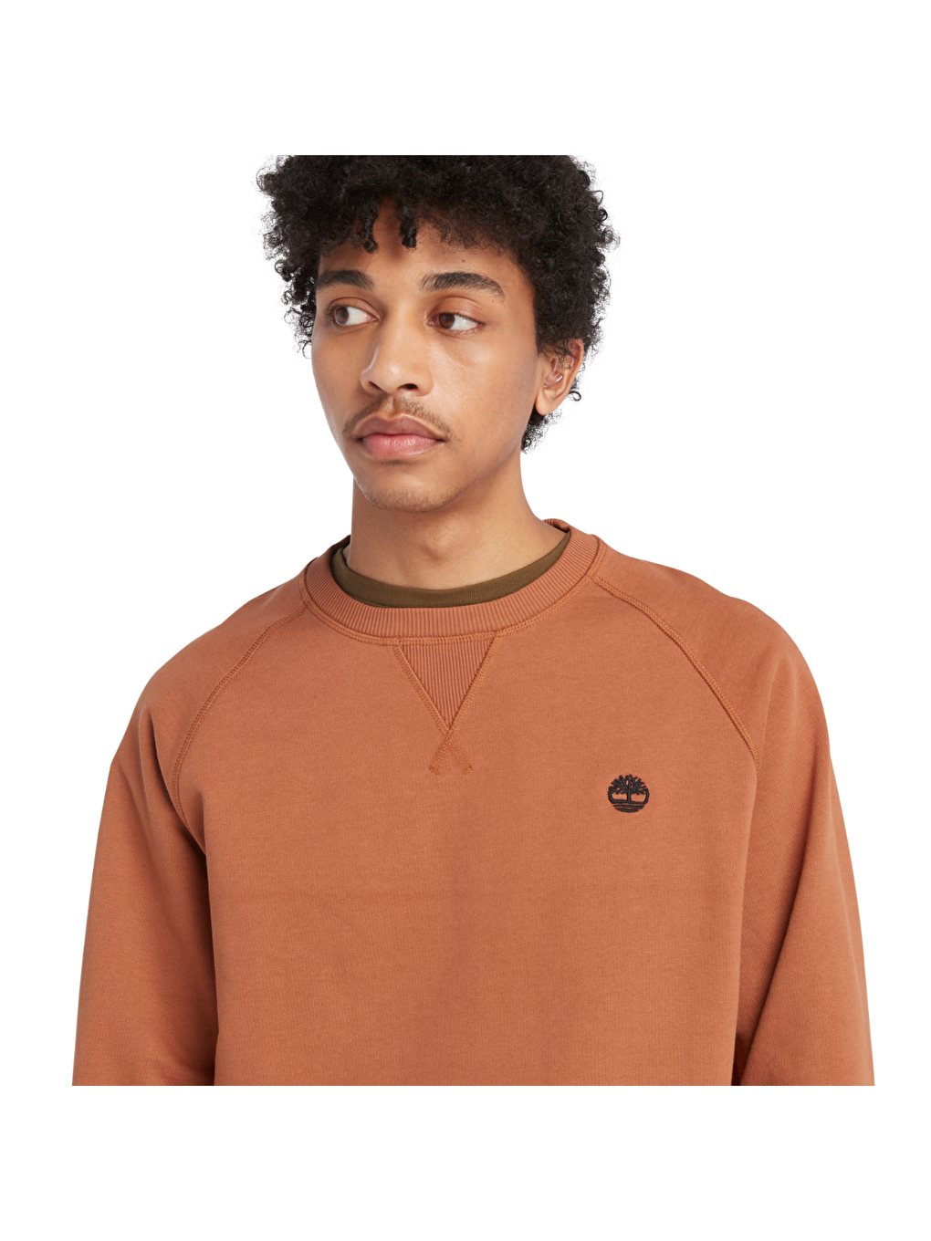 Timberland Kahverengi Brushed Back Erkek Kahverengi Yuvarlak Yaka Sweatshirt - 1