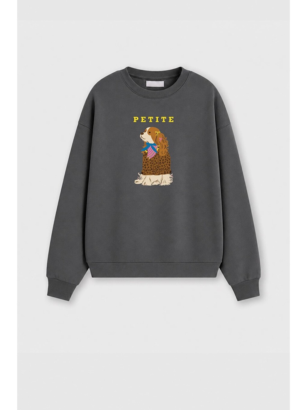 Antrasit Kadın Premium Kumaş 3 İplik Şardonlu Köpek Baskılı Sweatshirt-1