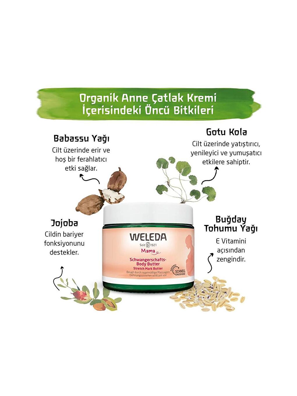 Weleda Çatlak Kremi 150 ML - 2