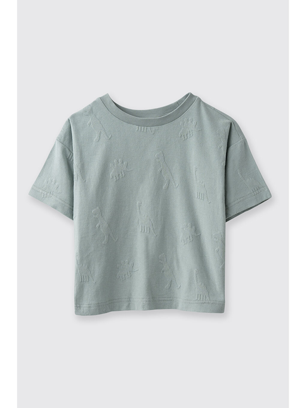 Erkek Çocuk Dinozor Desenli T-Shirt Yeşil