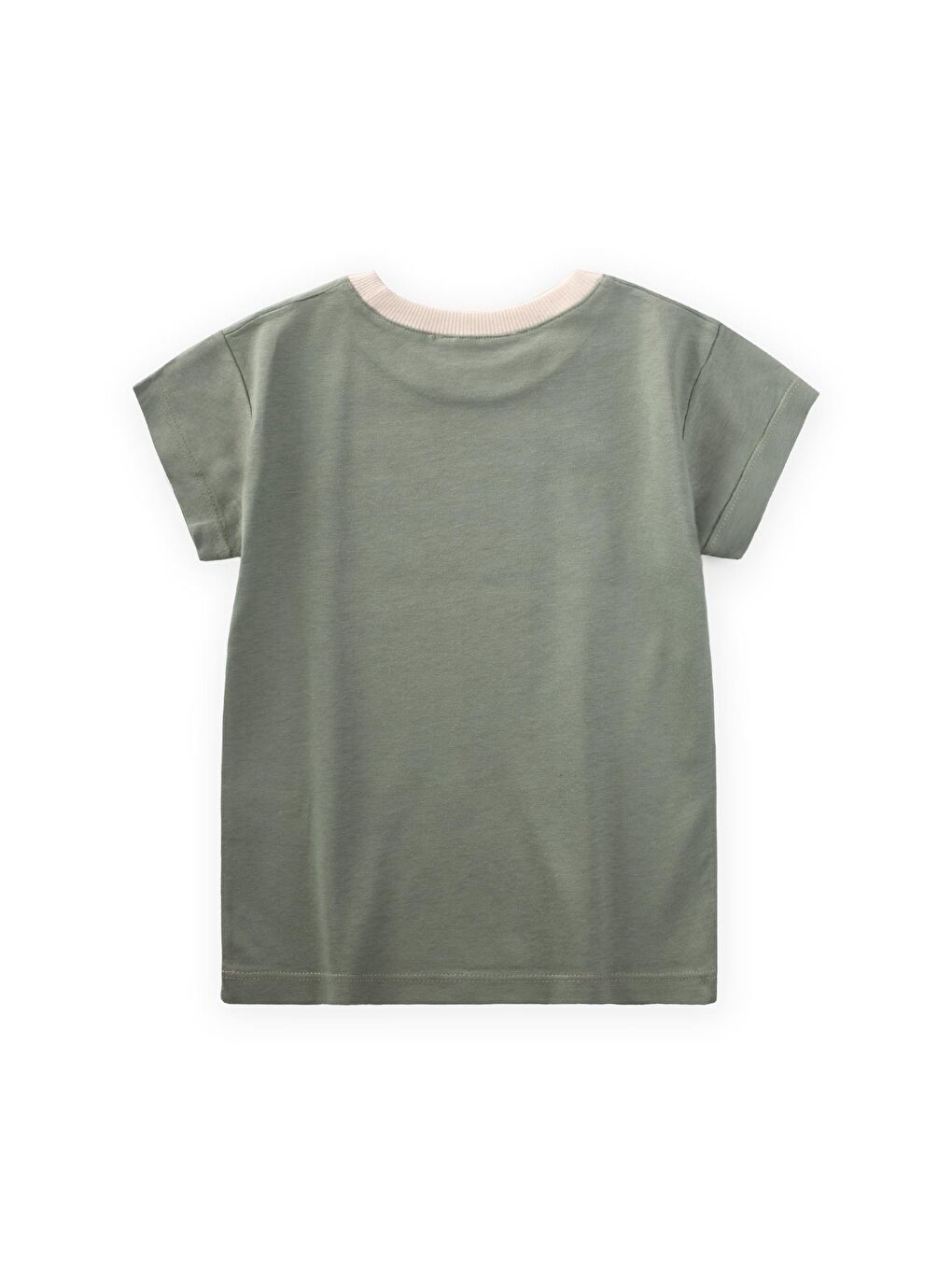 Palmiye Baskılı T-Shırt 2-8 Yaş Yeşil-1