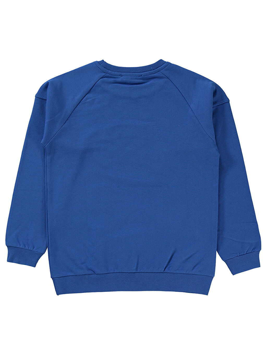 Civil Saks Erkek Çocuk Sweatshirt 6-9 Yaş Saks - 1