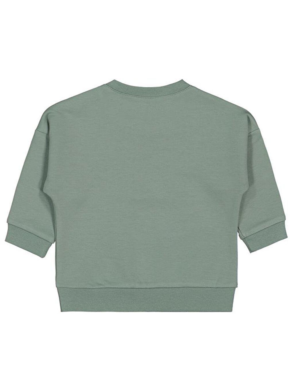 Yeşil Baby Teddy Baskılı 6-18 Ay Sweatshirt-1