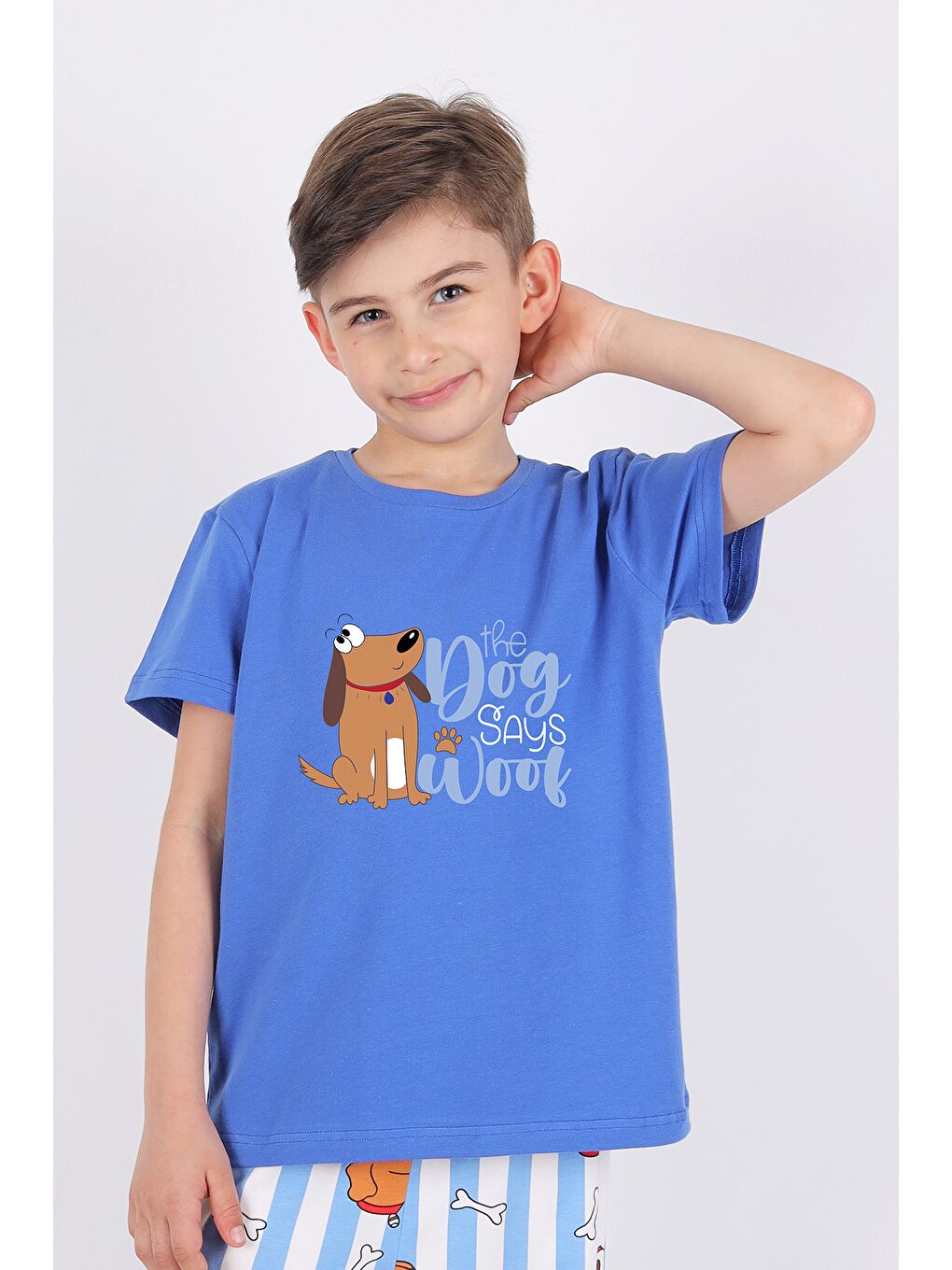 Mavi Erkek Çocuk Kısa Kollu Pamuklu Hayvan Desenli Pijama Takımı-3