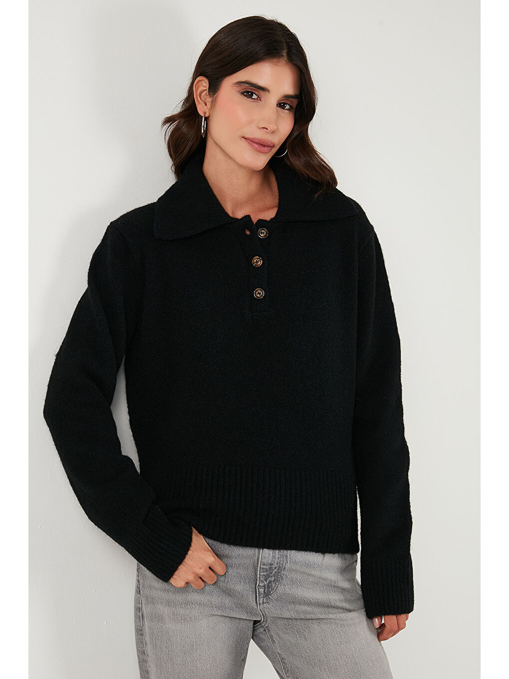 Siyah Yün Karışımlı Regular Fit Düğmeli Polo Yaka Kazak 4617019-4