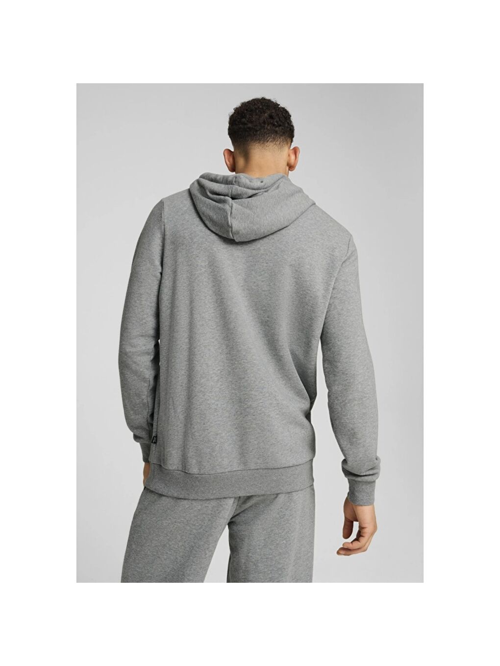 Ess Logo Lab Erkek Gri Kapüşonlu Sweatshirt-3