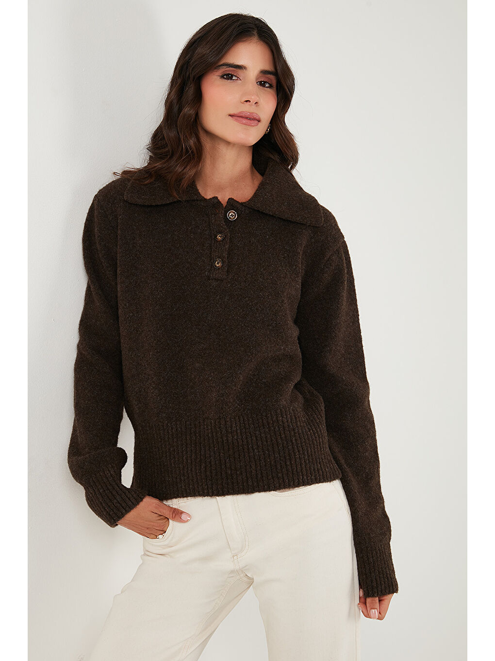 Kahverengi Yün Karışımlı Regular Fit Düğmeli Polo Yaka Kazak 4617019-3