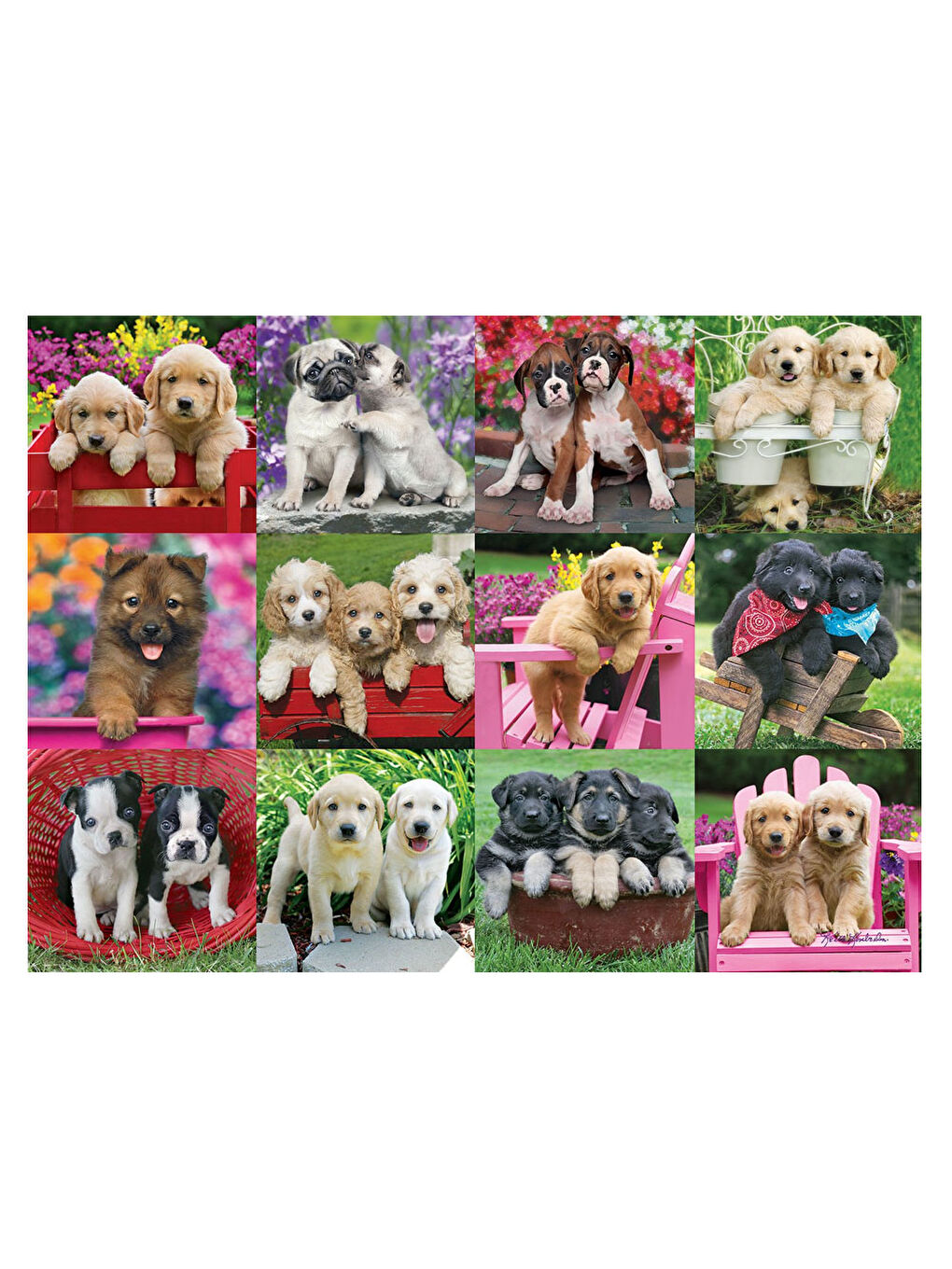 Ravensburger 500 Parça Puzzle Köpek Yavruları 146598