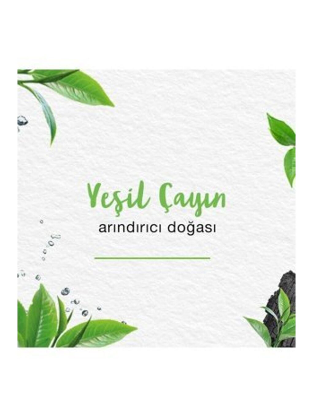 Detoks Etkili Arındırıcı Yüz Temizleme Seti, Aktif Kömür, Yeşil Çay, Arındırıcı, Tüm Ciltler 75 ml-4