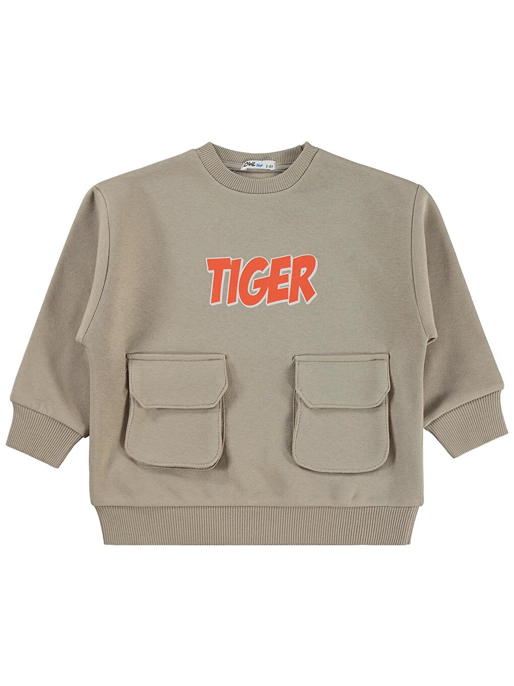 Boys Tiger Baskı-nakışlı 2-5 Yaş Sweatshirt - Bej