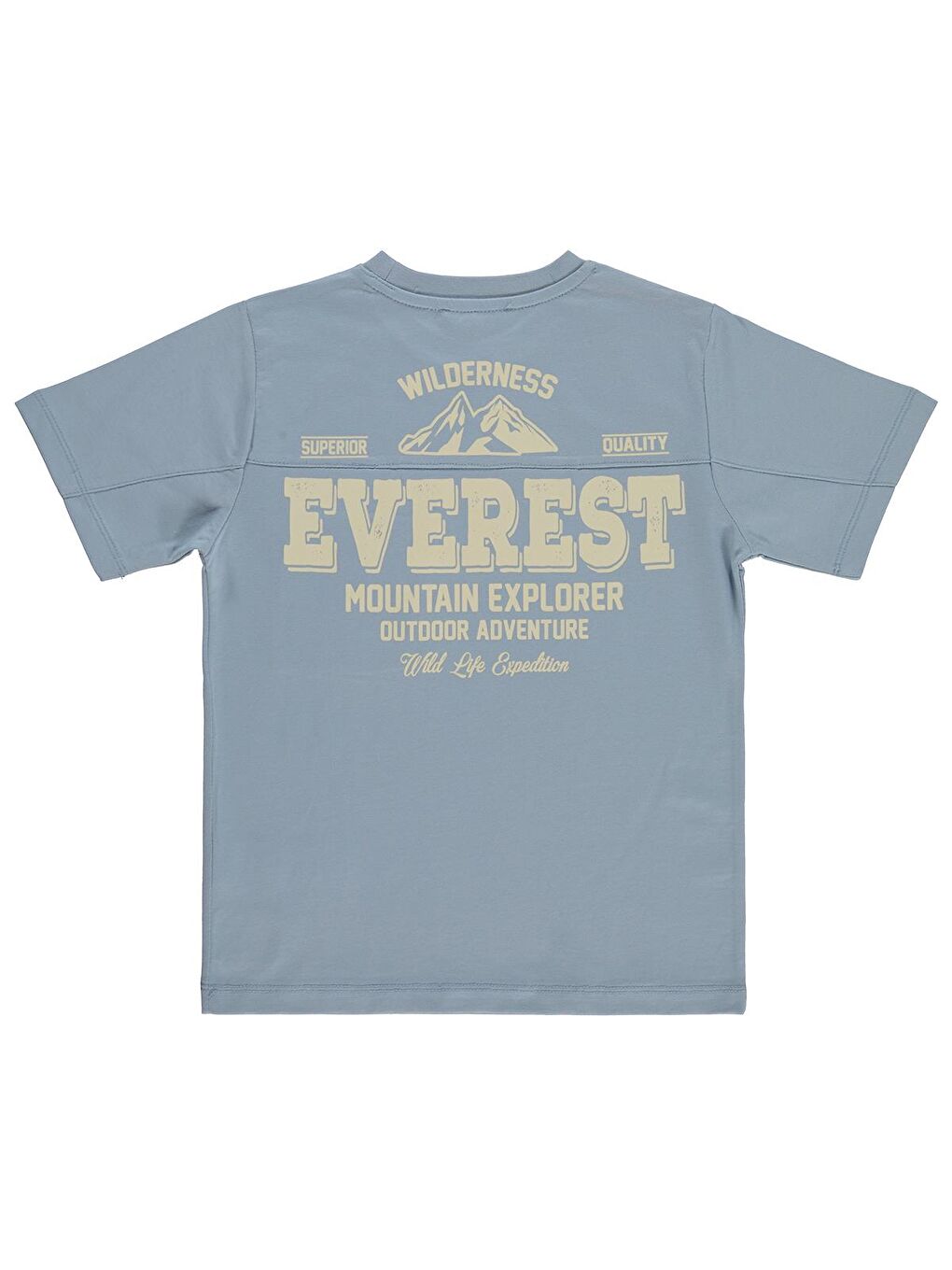 İndigo Boys Everest Baskılı 10-13 Yaş Tişört - Mavi-1