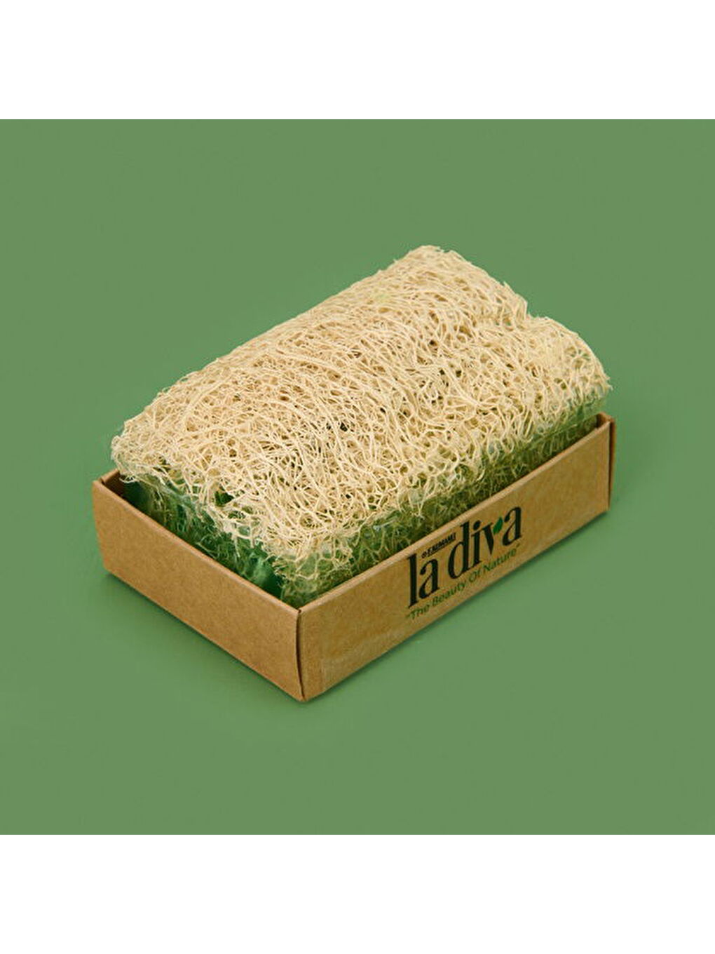 Aloe Vera Kabak Lifli Sabun - Yeşil - 130 gr-1