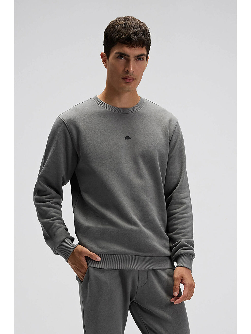 Antrasit Pamuklu Regular Fit Bisiklet Yaka Logolu Sweat EM556-ANT