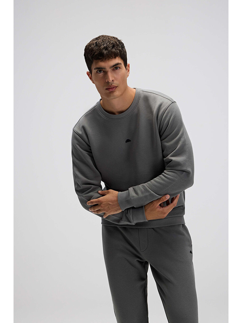 Antrasit Pamuklu Regular Fit Bisiklet Yaka Logolu Sweat EM556-ANT-1