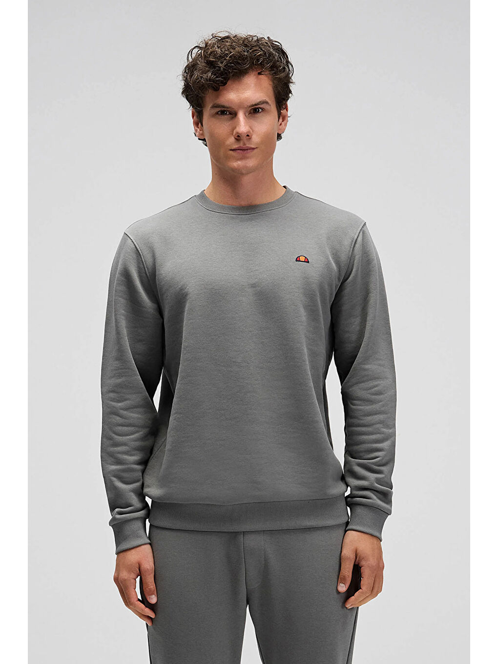 Antrasit Pamuklu Regular Fit Bisiklet Yaka Logolu Sweat EM579-ANT