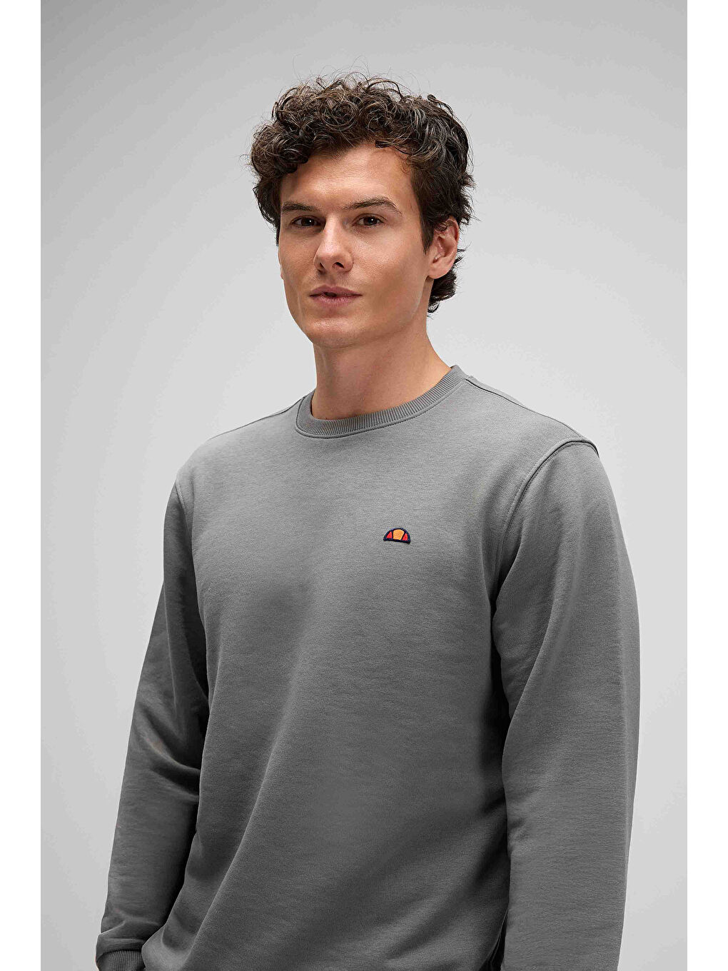 Antrasit Pamuklu Regular Fit Bisiklet Yaka Logolu Sweat EM579-ANT-1