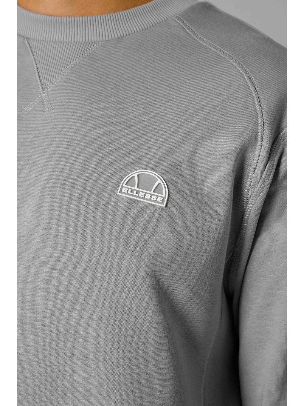 Gri Logolu Pamuklu Regular Fit Bisiklet Yaka Sweat EM2821-GI-4