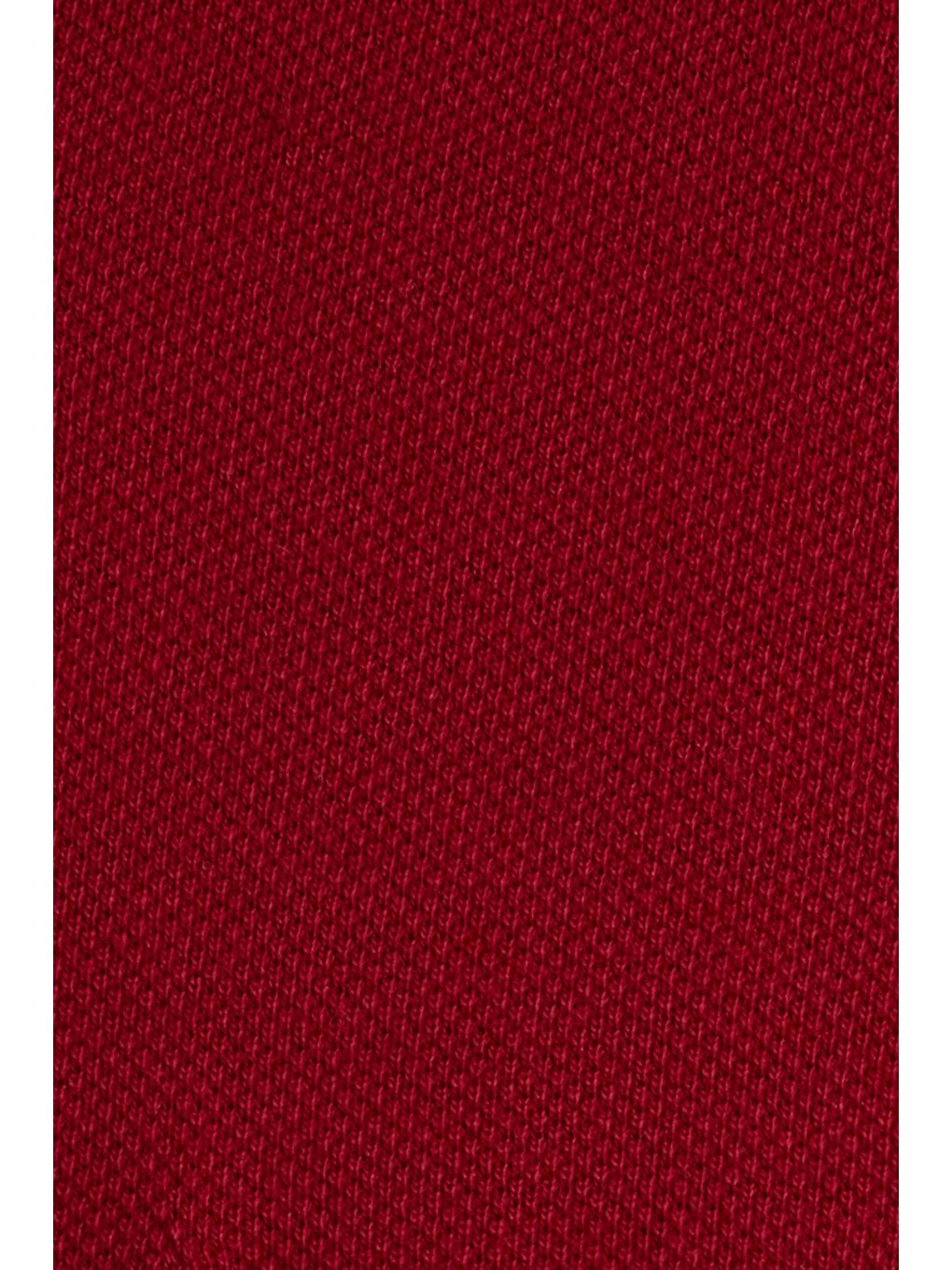 Erkek Regular Fit Klasik Kesim %100 Pamuk Düz Pike Bordo Polo Yaka Tişört-5