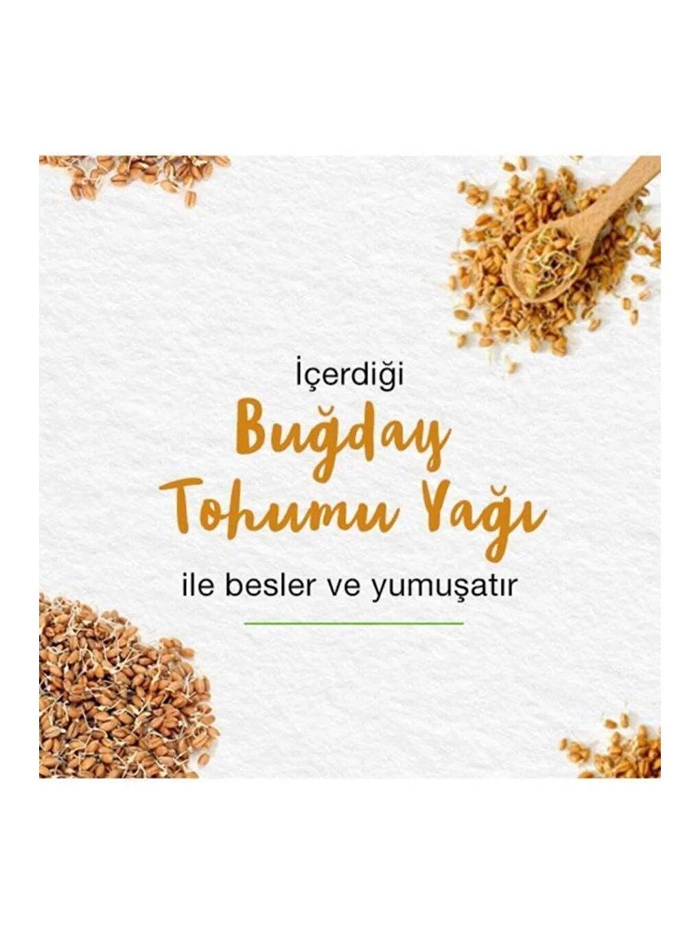 Yoğun Nemlendirici Besleyici Güneş Koruyucu Parlatıcı Dudak Kremi Lip Balm 4,5 gr 4 Adet-4